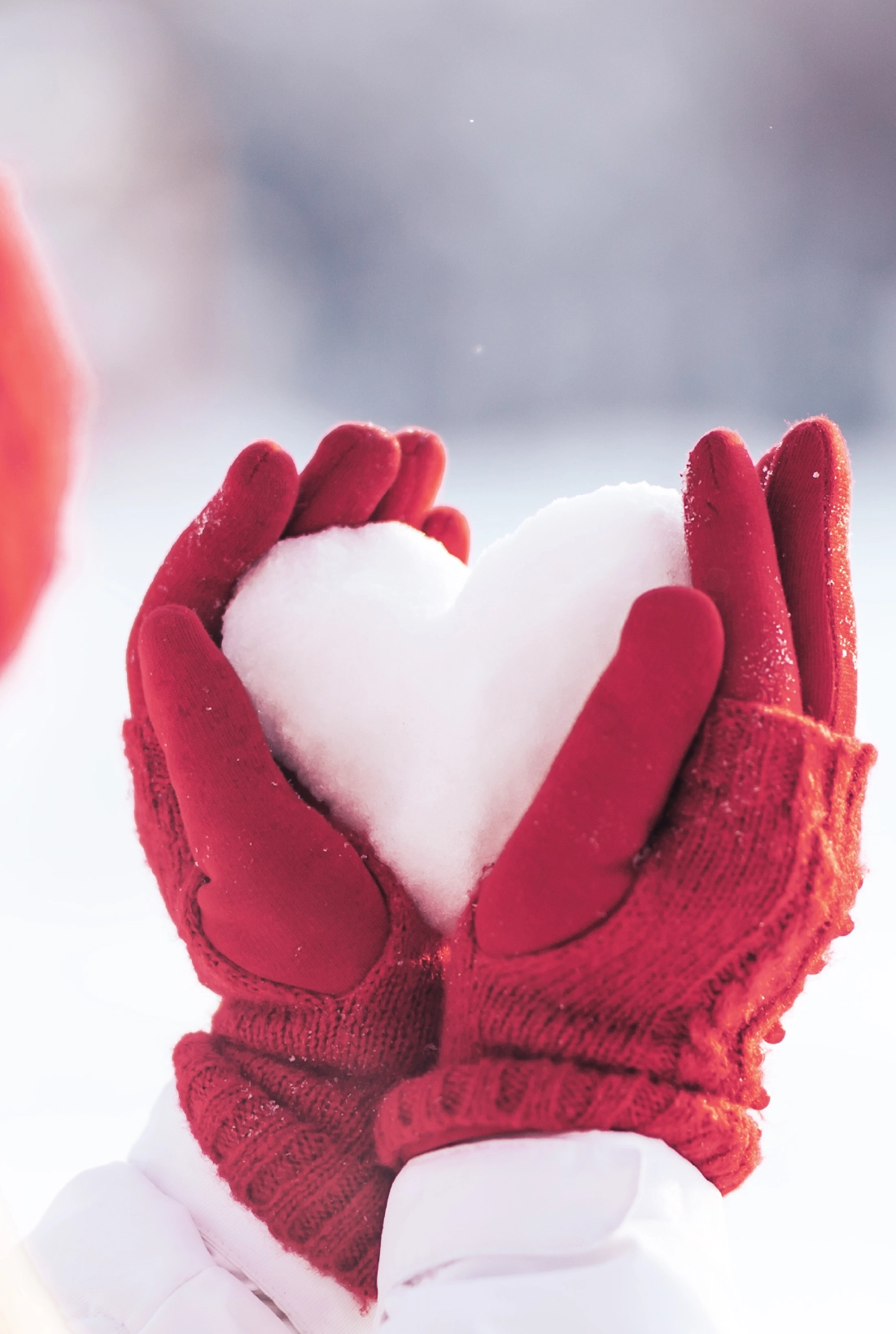 team-f Adventskalender